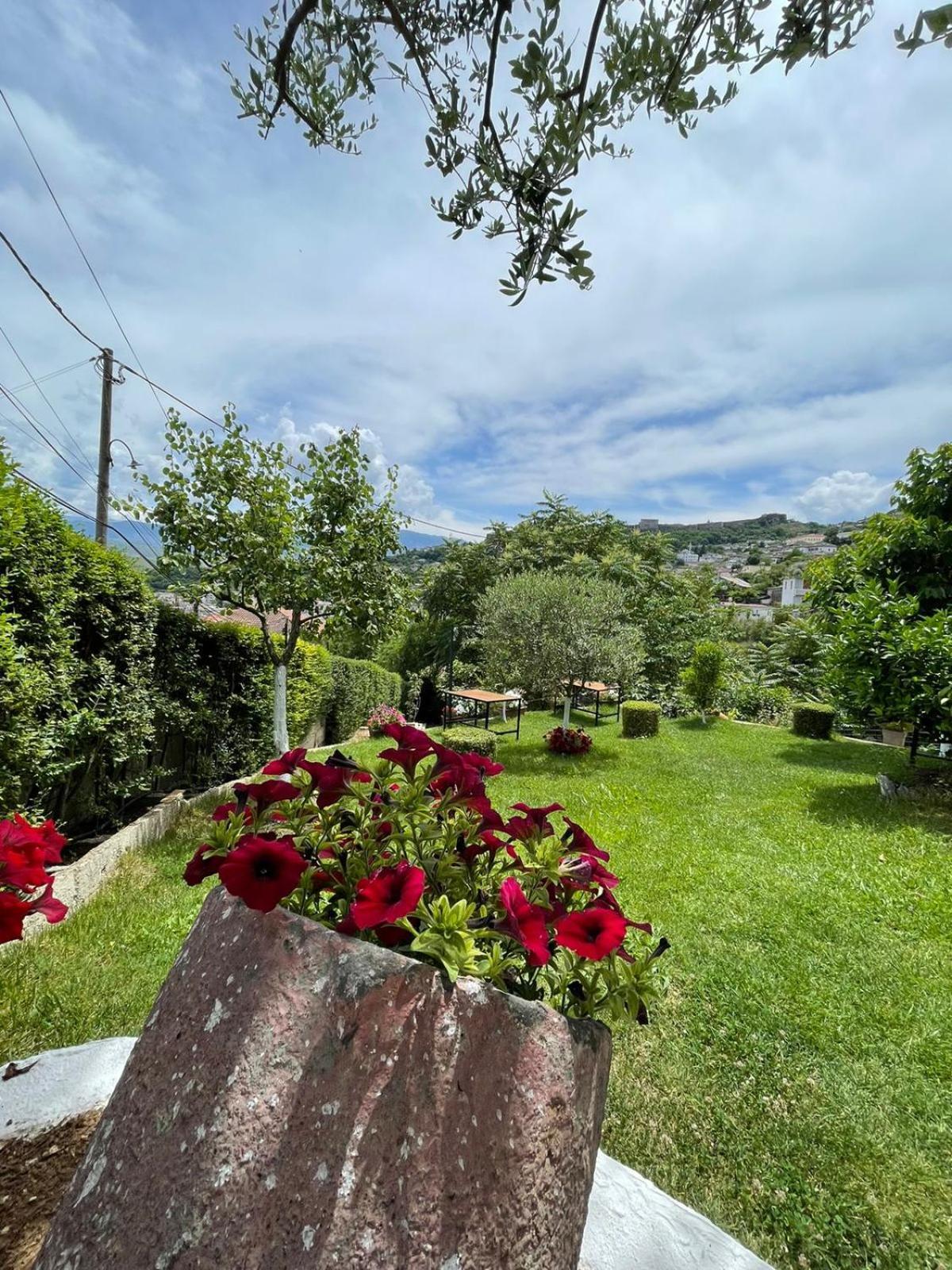 Ilvi Guesthouse Gjirokaster Exterior photo